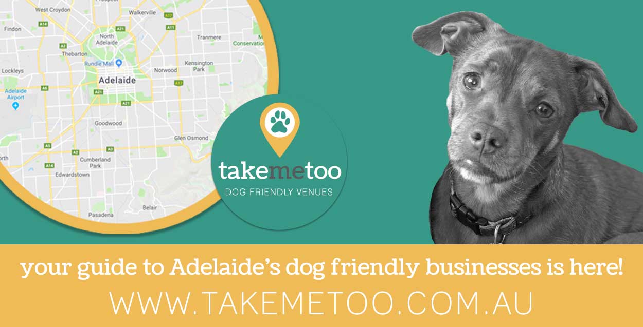 Dog friendly places South Australia small