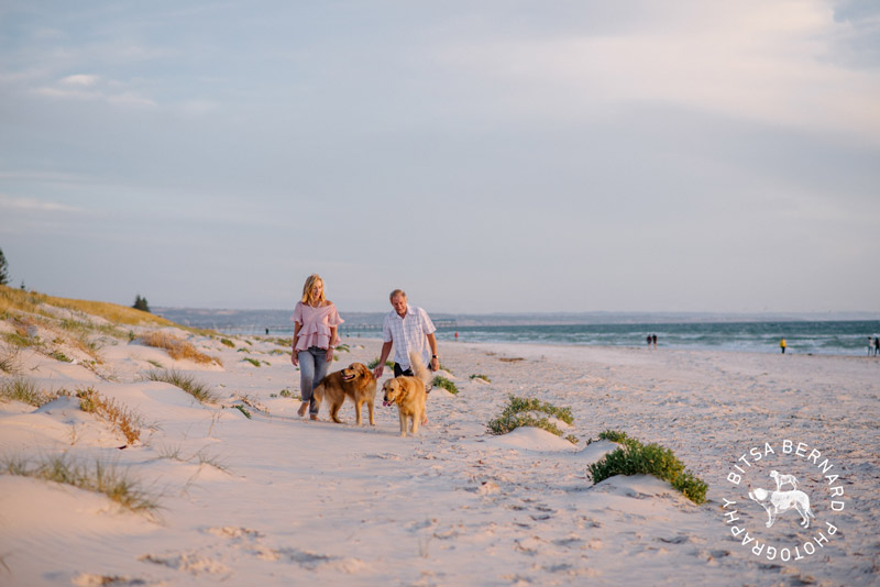 6 dog friendly beaches adelaide